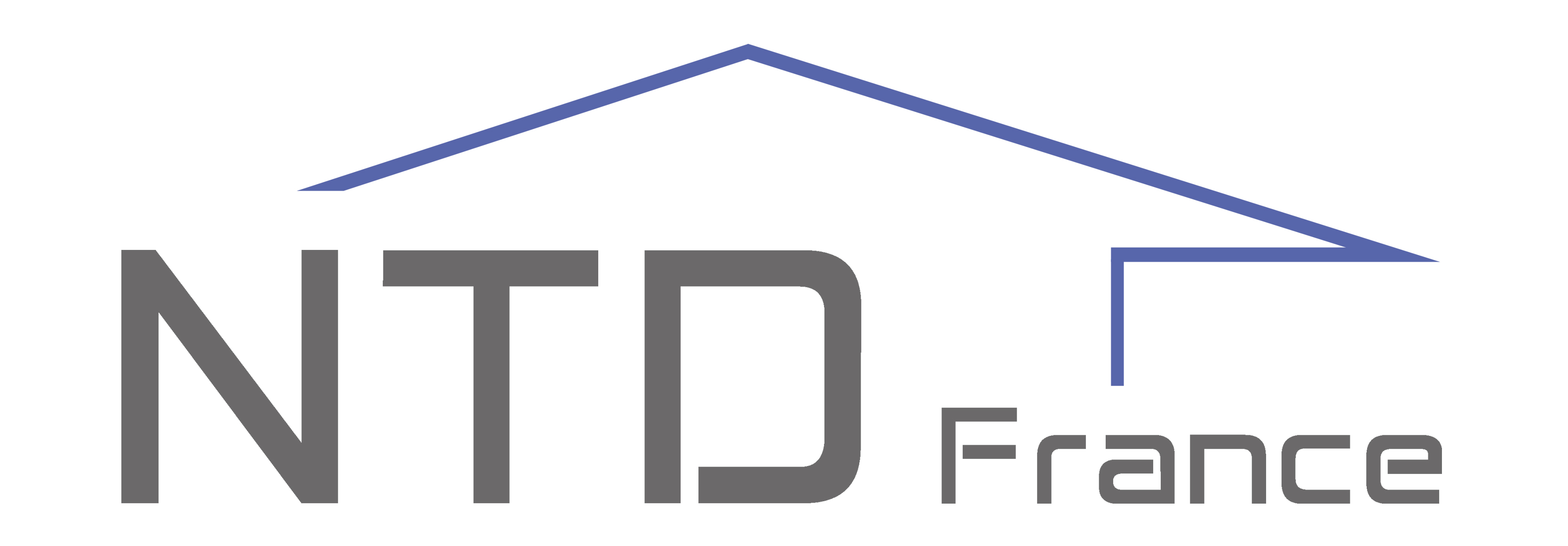 Logo NTD FRANCE