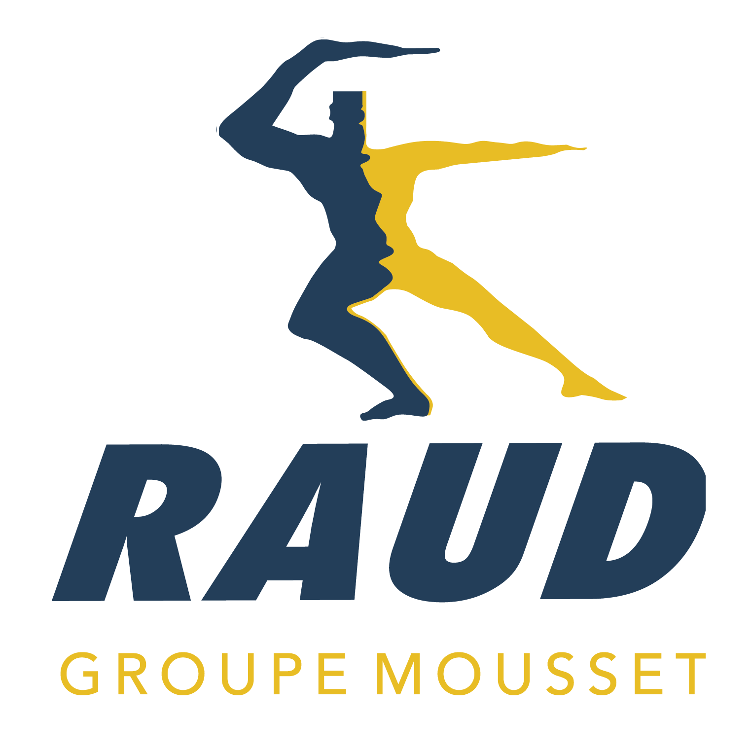 Logo Transports RAUD