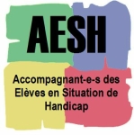 Devenez Accompagnant d'Elèves en Situation de Handicap ( AESH)